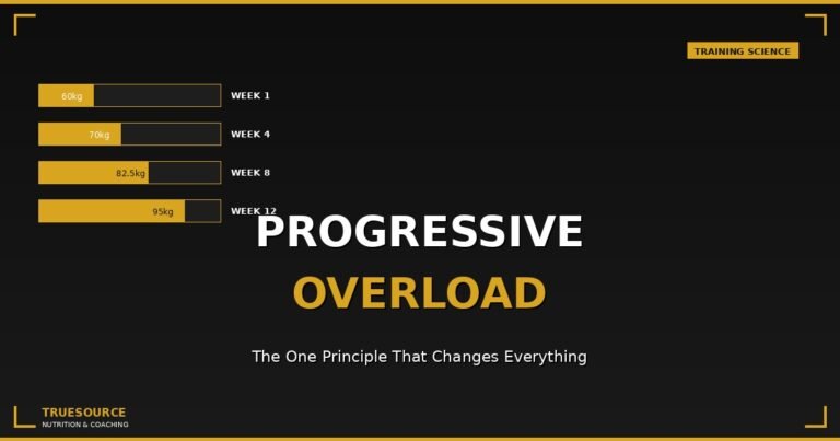 Progressive overload explained training program chart
