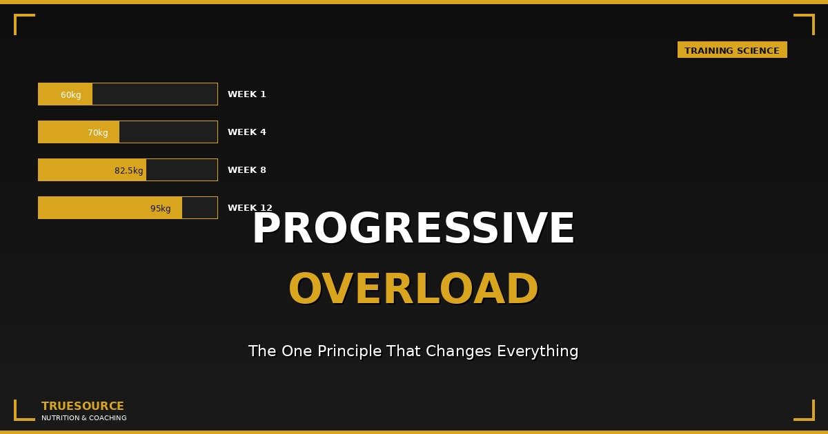 Progressive overload explained training program chart